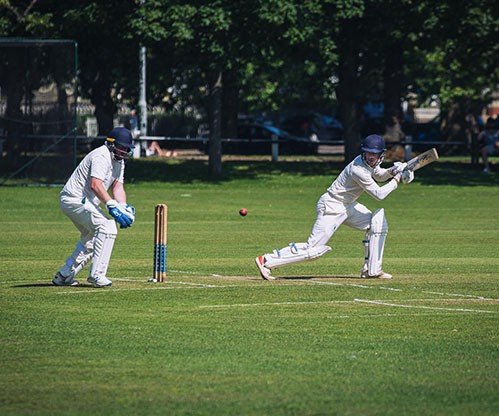 Cricket
