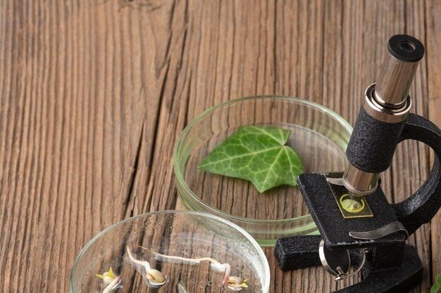 Institute of Natural Sciences and Humanities